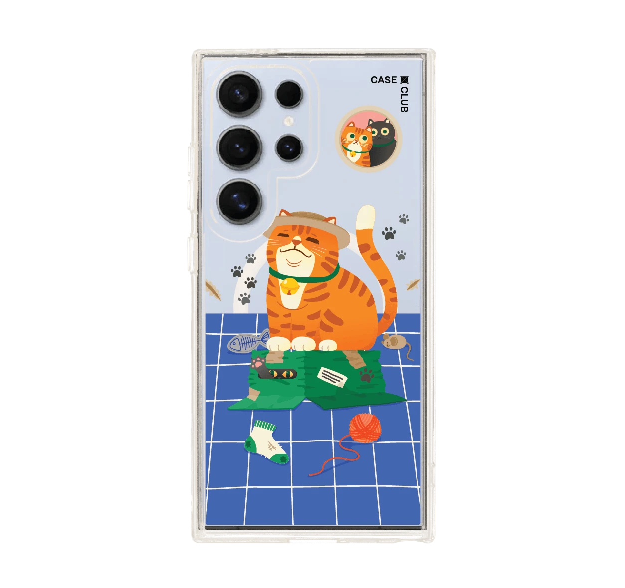 แมวหมวกฟางนักผจญภัย